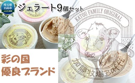 【彩の国優良ブランド】加藤牧場  ノンホモ低温殺菌牛乳を使用した甘みとコクが感じられるジェラート9個セット スイーツ お菓子 