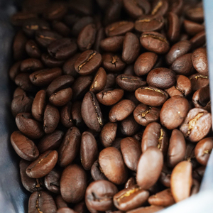 [粉に挽く]スペシャルティコーヒー 旬のシングルオリジン 200g×2種 【kt054-005-2】 ｺｰﾋｰ