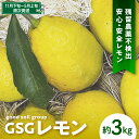 【ふるさと納税】GSGレモン〜残留農薬不検出〜 約3kg / 檸檬 レモン 果物 柑橘 フルーツ 生産量日本一の広島 産地直送 送料無料 呉市