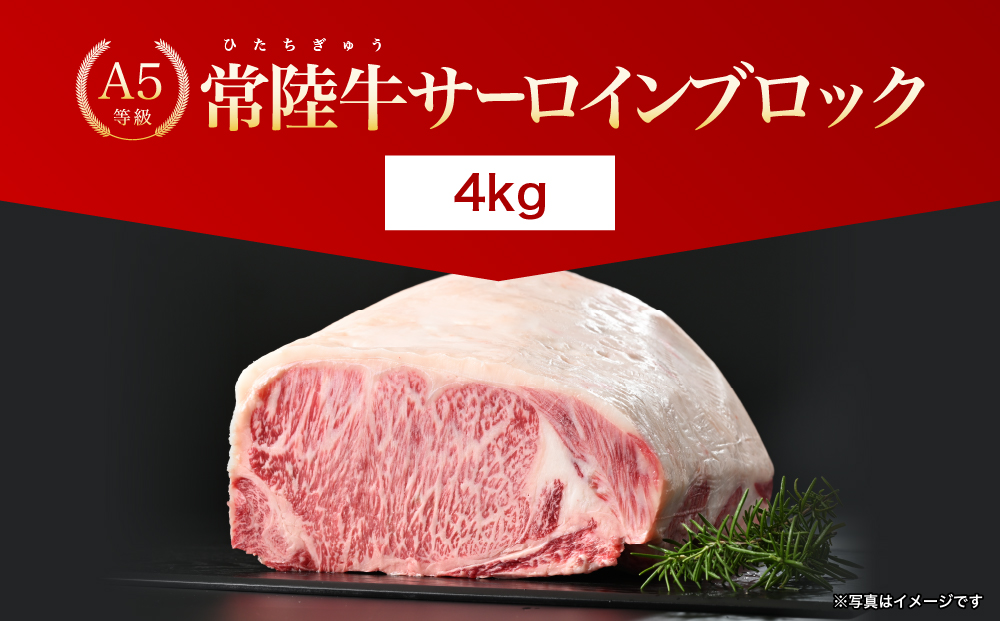 【茨城県共通返礼品】茨城県産 常陸牛A5サーロインブロック4kg