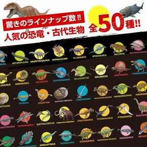 恐竜・古代生物Tシャツ　アーケロン　サイズM（レギュラー）