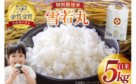 米 令和8年産 雪若丸 5kg 特別栽培米 精米 [農家の蔵出し米生産組合 山形県 高畠町 tk06ays900000] コメ ご飯 ごはん お米 ブランド米