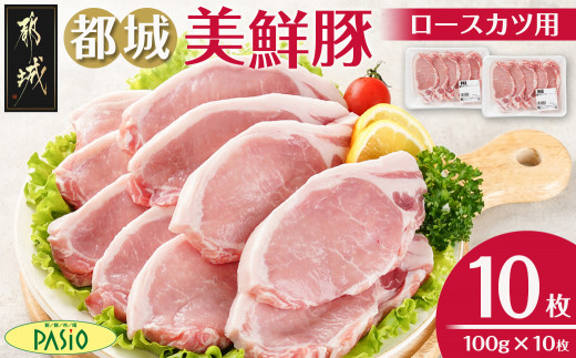 
                  都城美鮮豚ロースカツ用10枚セット〔54-002〕_(都城市)_豚 豚ロース 100g×5枚 合計10枚 とんかつ
                