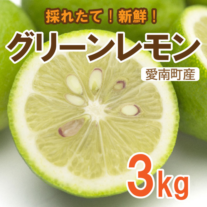 
レモン（グリーンレモン） 3kg れもん 檸檬 フルーツ 果物 くだもの 柑橘 贈答 ギフト 防腐剤 不使用 レモンサワー レモン果汁 炭酸水 ビタミンC クエン酸 疲労 回復 ストレス 解消 免疫力 向上 大容量 国産 産直 皮ごと 丸ごと みかん 蜜柑 文旦 ポンカン ミカン ひなたのみかん 愛媛県 愛南町
