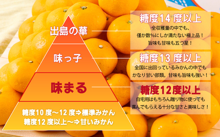 西海みかん｢味まる｣