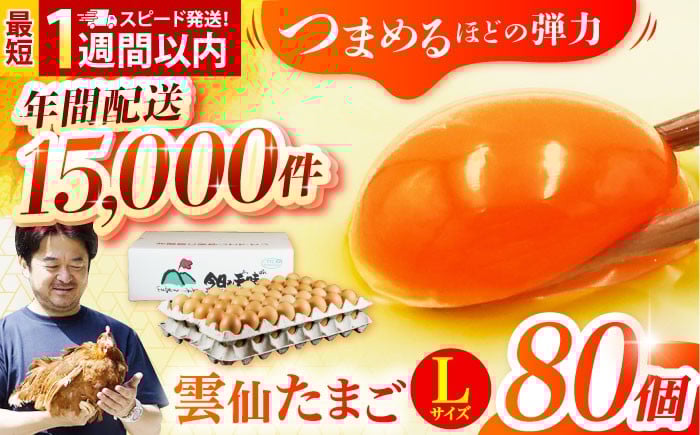 
            【卵 スピード発送】雲仙たまご Lサイズ80個(75個＋割れ補償5個入り) 長崎県/塚ちゃん雲仙たまご村 [42ACAE003] 卵 玉子 タマゴ 鶏卵 長崎 島原 九州
          