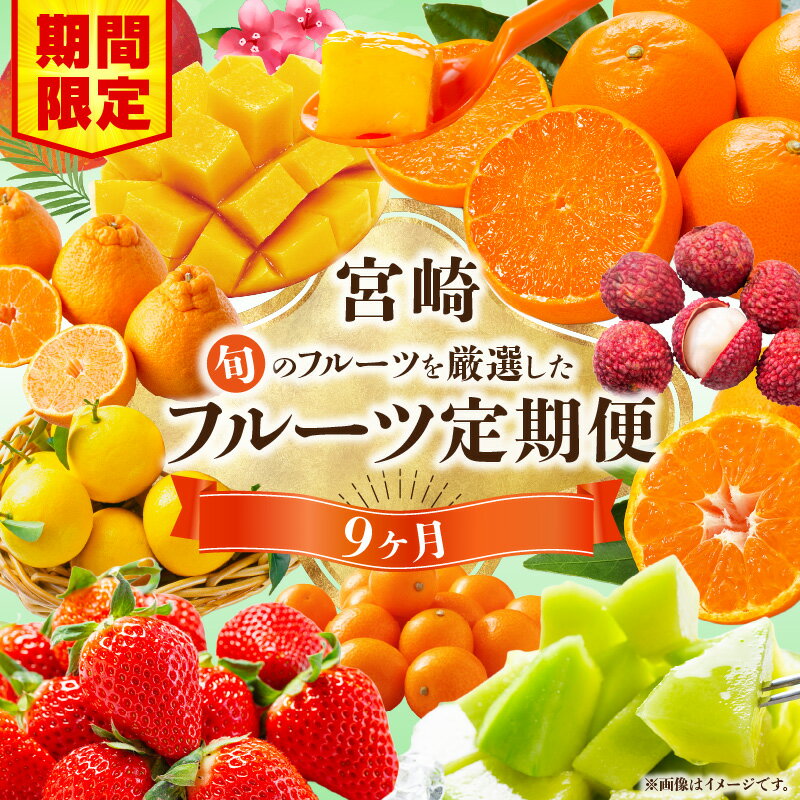 【ふるさと納税】【期間・数量限定】旬のフルーツ9ヶ月定期便vol.1 フルーツ定期便 果物定期便 定期便 定期 旬のフルーツ 旬の果物 果物 フルーツ 旬 厳選 いちご 金柑 せとか 日向夏 マンゴー ライチ メロン みかん 不知火 贈り物 ギフト 贈答 ご褒美 グルメ 宮崎県 宮崎市