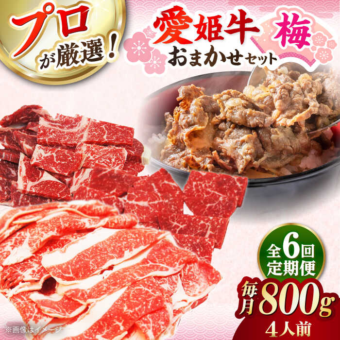 【ふるさと納税】【全6回定期便】「愛姫牛」店主におまかせ旬セット【梅】800g（4人前） | 人気 おすすめ ランキング おいしい 小間切れ 大洲市/有限会社 木村屋精肉店 [AGCC058] 150000 15万円 以上 200000 20万円以下
