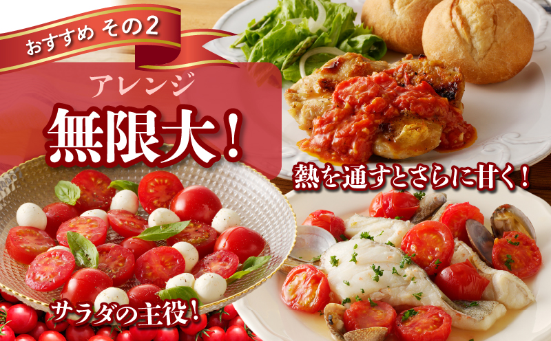 先行予約≪期間限定≫高糖度ミニトマト『ニーゴ25。』(計1.6kg) ミニトマト 野菜 サラダ 国産_T040-0021