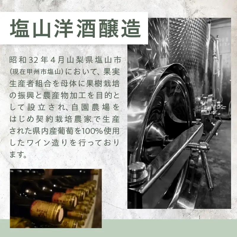ワイン 塩山洋酒醸造の赤ワイン『Japanese Blend』（RC）B11-640
