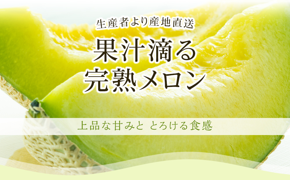 【先行予約】高知県南国市産／メロン・マンゴーセット（2024年6月〜発送）