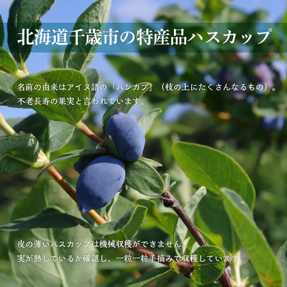 千歳ワイナリー ハスカップのワイン3種360ml×各1本＜ギフト箱入＞