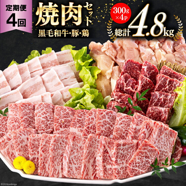 【ふるさと納税】4回 定期便 宮崎県産 焼肉 セット 黒毛和牛 モモ カルビ 豚バラ 若鶏 モモ 合計4.8kg 各300g [サンアグリフーズ 宮崎県 美郷町 31ba0037-NEW] 小分け 冷凍 送料無料 国産 BBQ バーベキュー キャンプ 普段使い 炒め物 丼 カット 詰め合わせ 経産牛