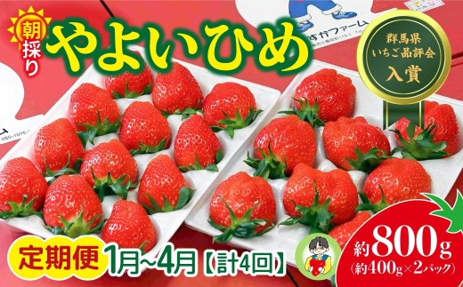 いちご やよいひめ 400g × 2パック 800g 計4回 定期便1月～4月 2027年 先行予約 | コク 甘み 朝採れ やよいひめ 贈答用 新鮮 完熟 いちご 旬 苺 ストロベリー 産地直送 果汁 あまい 人気 高評価 旨味 高糖度 ごほうび 定期便 あすかファーム 群馬県 前橋市