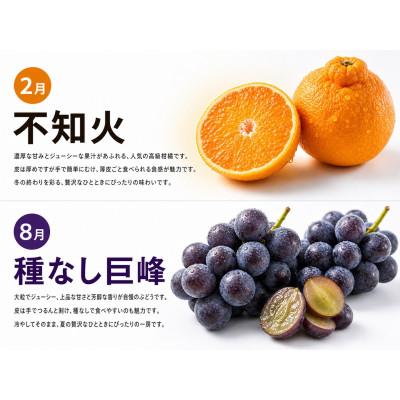 ふるさと納税 由良町 【発送月固定定期便】紀州和歌山産旬のフルーツセット(種なし巨峰・シャイン・みかん・不知火)全4回 |  | 01