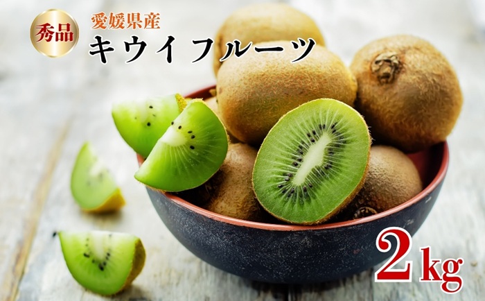 キウイフルーツ 2kg 秀品 【糖度14度～16度】 人気 数量限定 キウイ 愛媛  【2025年11月中旬以降発送】| B152