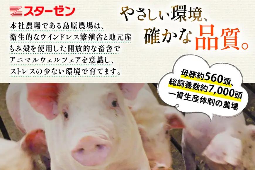 AK032 豚ロース とんかつ用 500g 2パック 計1kg