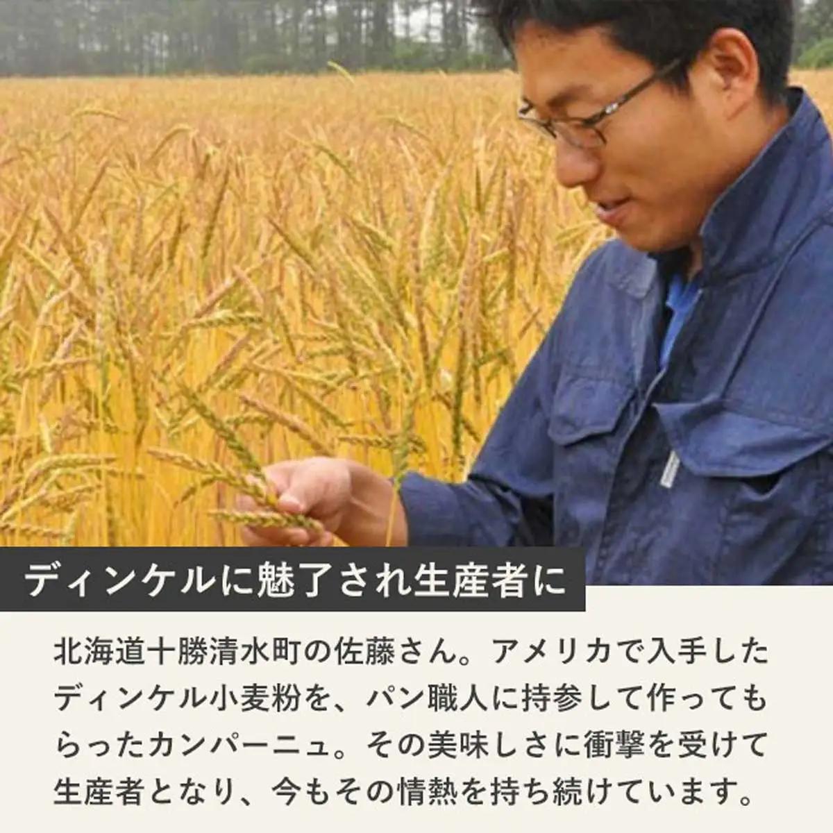 北海道産 小麦粉 スペルト小麦全粒粉 ディンケルスター 10kg MROBI004