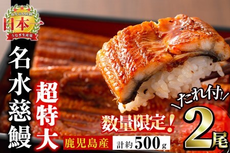 【数量限定】鹿児島県産うなぎ蒲焼 名水慈鰻 超特大サイズ２尾(1尾あたり236~270g)＜計約500g＞ うなぎ 鰻 ウナギ 国産 鹿児島県産 九州産 蒲焼き 冷凍 うな重 ひつまぶし a8-059