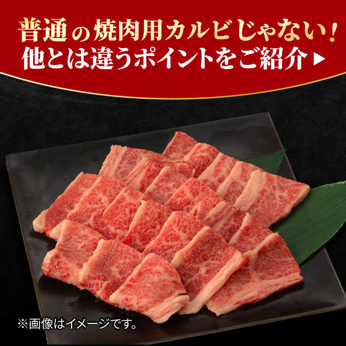 佐賀牛 カルビ 焼肉用 500g 吉野ヶ里町/NICK’S MEAT [FCY010]