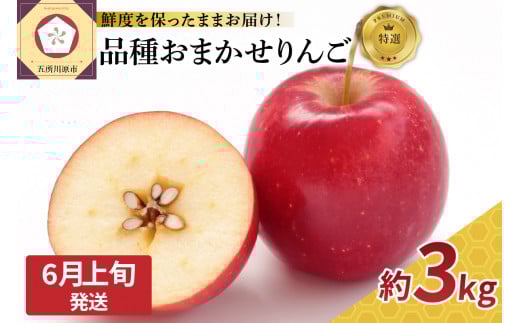 【2026年6月上旬発送】 特撰 丸かじり青森りんご 3kg程度 品種おまかせ1種（スマートフレッシュ貯蔵またはCA貯蔵）