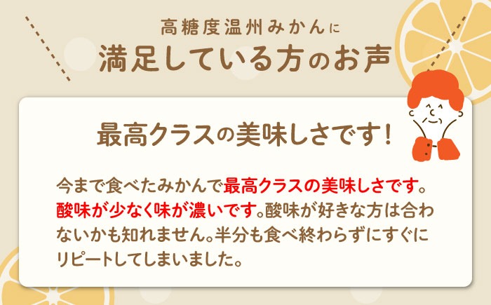 【2024年11月下旬〜発送】【高糖度】 温州みかん 約10kg / みかん 南島原市 / 南島原果物屋 [SCV012]