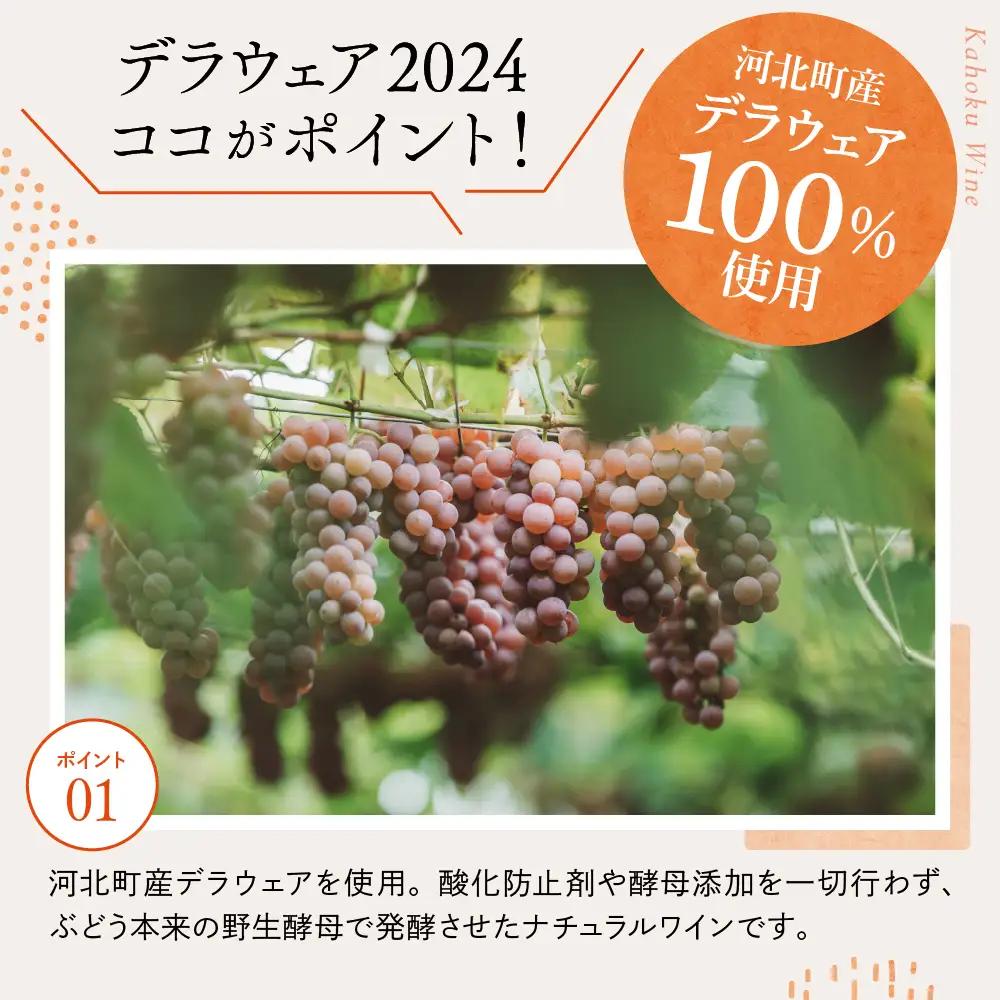 ワイン 泡 デラウェア ワイン 2025 750ml 河北町産 ぶどう ワイン