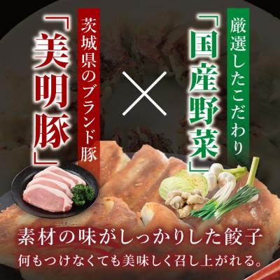 ふるさと納税 大洗町 「美明豚」冷凍餃子 80個(20個×4袋)(茨城県共通返礼品・行方市産) |  | 01