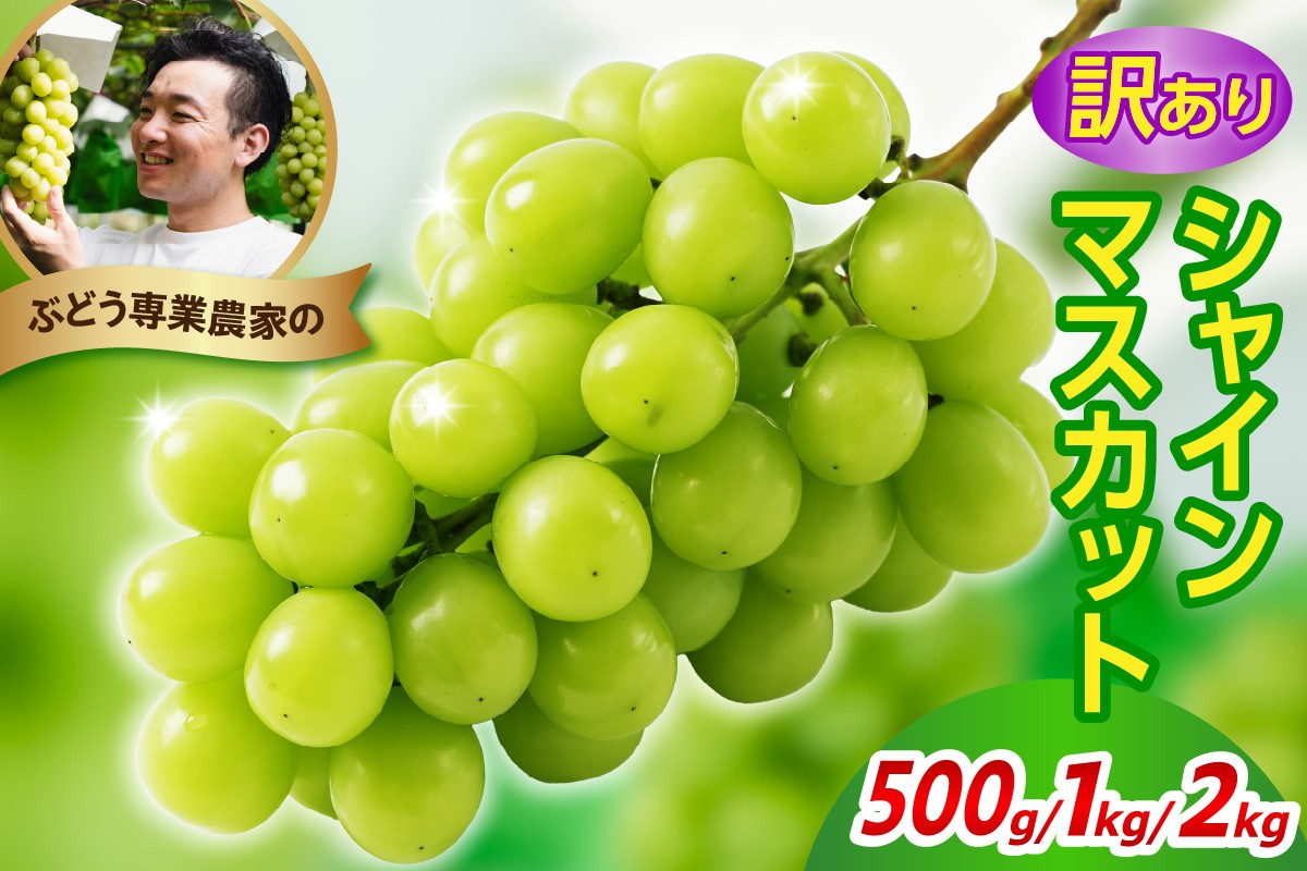 
                  令和8年産 訳あり シャインマスカット 500g ～ 2kg 2026年9月上旬頃～ お届け予定 ぶどう 葡萄 マスカット 人気 フルーツ 果物 産地直送 山形県 米沢市
                