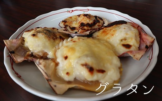 
            【冷凍】ヒオウギ貝１０セット
          