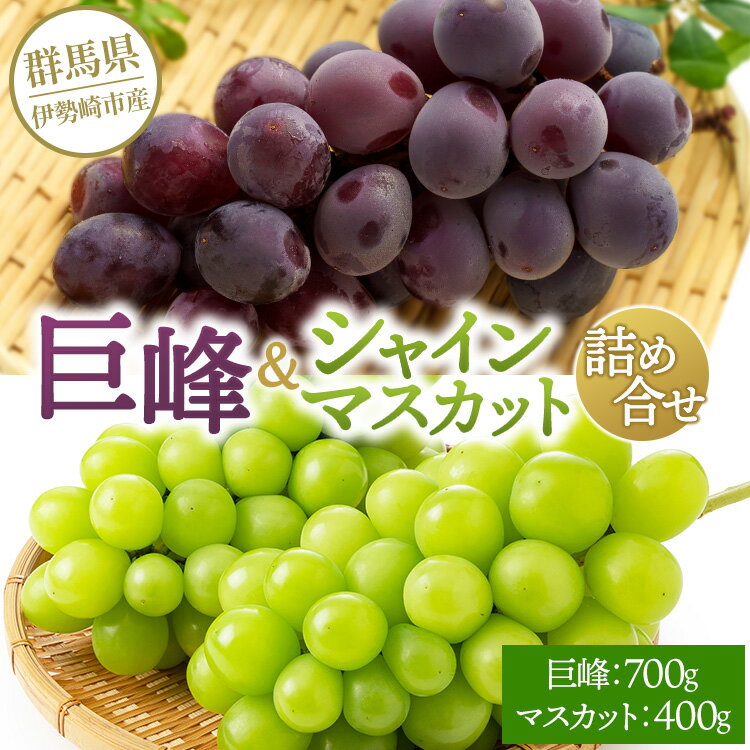 【ふるさと納税】巨峰700g シャインマスカット400g 詰め合わせ ※2025年8月中旬～9月上旬頃に順次発送予定 ※離島への配送不可
