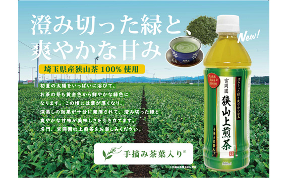 【定期便3か月】ペットボトル お茶 狭山上煎茶 500ml 24本 | お茶 おちゃ オチャ ペットボトル ぺっとぼとる 狭山茶 さやま茶 茶 3回 3ヶ月 3ケ月 3ヵ月 3カ月 3か月 3箇月 日