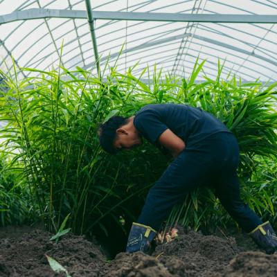 ふるさと納税 四万十市 【山崎生姜農園】生姜農家が作った至高の生姜ジャム 26 |  | 03