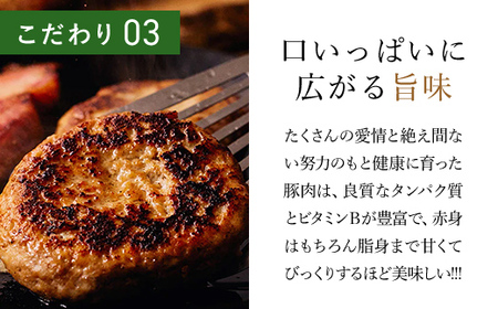 ＜木更津の恵みポーク＞ハンバーグのたね500g×5 KCB005