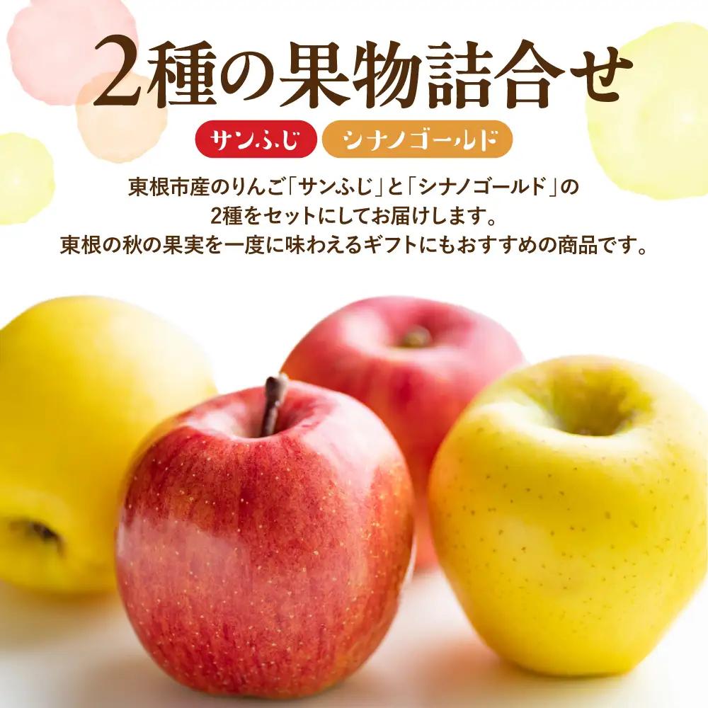 【2026年産】りんご サンふじ&シナノゴールド 詰め合わせ 3kg 秀品 化粧箱入り 山形県 東根市 東根農産センター提供 hi027-208-r8 （リンゴ 林檎 サンふじ シナノゴールド 詰め合
