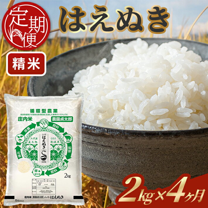 【ふるさと納税】≪4ヶ月定期便≫ はえぬき 精米 2kg×4ヶ月連続 計8kg 令和7年産 山形県産 ご希望期間の毎月下旬にお届け 精米 白米 庄内米 米 ごはん ご飯 一人暮らし 少人数 小分け 酒田市 庄内 山形県 東北 定期便 4回