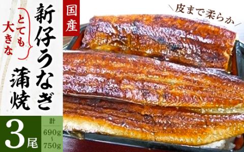 国産 とても大きな 新仔 うなぎ 蒲焼 3尾 計690～750g (220～250g×3尾 )【配送不可地域：離島】