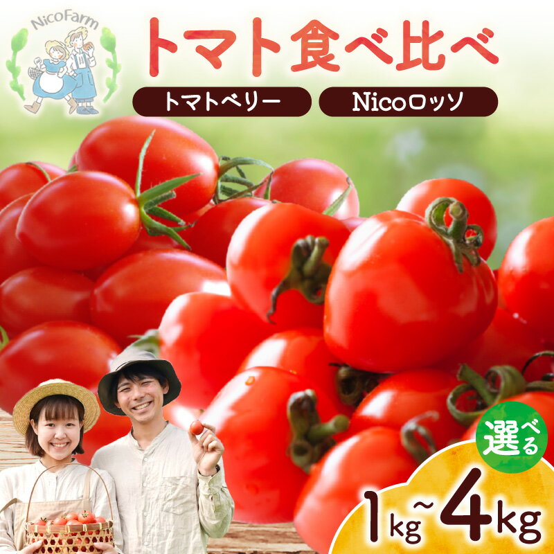 【ふるさと納税】【容量が選べる】【先行予約2026年7月】子供も大好き！フルーツのように甘いミニトマト2種 トマトベリー & Nicoロッソ 完熟トマト 樹上完熟 甘いトマト ジューシー フルーツトマト ハート型 可愛い 野菜 夏野菜 トマト 新鮮 産地直送 北海道 余市町 送料無料