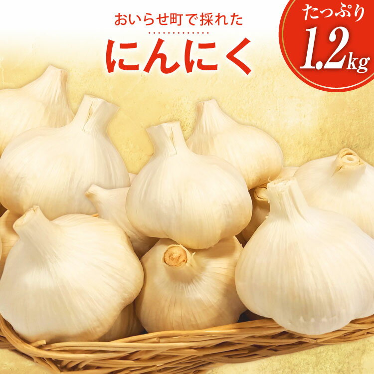 【ふるさと納税】にんにく 青森 おいらせ町産 1.2kg [アグリの里おいらせ 青森県 おいらせ町 oi02ayo590001] ニンニク 国産 家庭用 普段使い