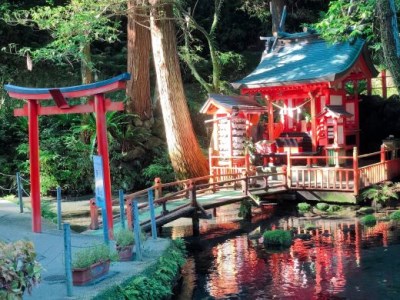 【ご当地サイダー】指宿温泉サイダー12本セット(化粧箱入り)(湯砂菜企画/A-146) サイダー ご当地サイダー