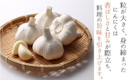 奈良県葛城産 にんにく 約1kg(500g×2袋)  【2026年5月上旬～7月下旬順次発送】 葛城市【smlk064】