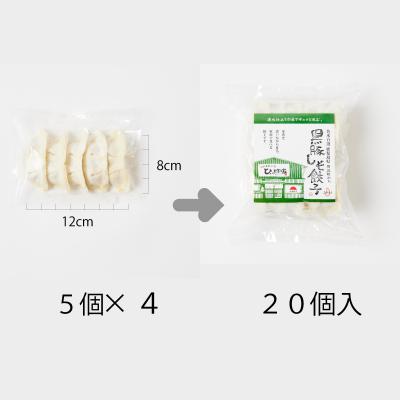 ふるさと納税 南九州市 かごしま黒豚しそ餃子60個(タレ付) |  | 02