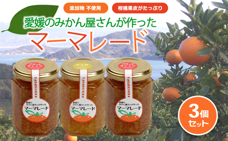 みかん マーマレード 150g×3 | 無添加 柑橘 ミカン ギフト 愛媛県 松山市 ジャム ジャム ジャム ジャム【OF0071】