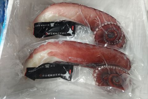 【北海道根室産】刺身用真だこ足800g～1.2kg前後×2本 C-57045