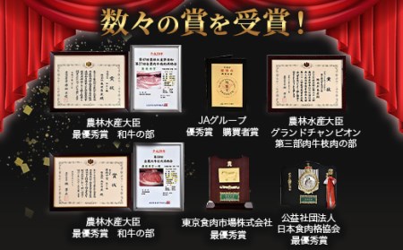 A5等級 佐賀牛 焼肉用 400g【厳選部位】佐賀牛ロース 佐賀牛モモ 佐賀牛ウデ 佐賀牛バラ【美味しい佐賀牛を贅沢に】佐賀牛のうま味 B-616