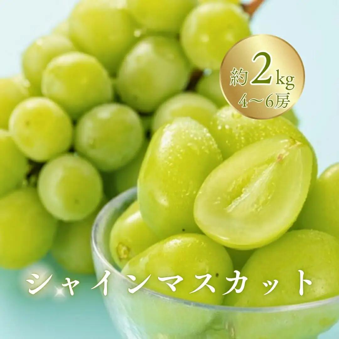 シャインマスカット 約2kg（4~6房）※最低1.8kg以上|シャインマスカット2kg