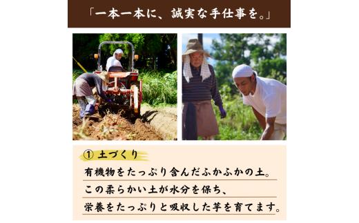  種子島 産 オーガニック (有機) 種子島安納いも (誠農園) ３kg　NFN599 【250pt】 有機栽培 有機JAS認証 皮まで丸ごと 安納いも 安納芋 熟成 糖度 オーガニック 安心安全