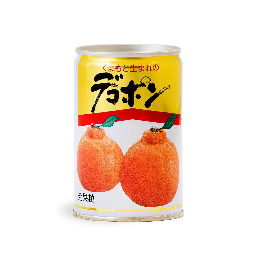 【順次発送】くまもとの果樹園 デコポン 缶詰 10缶 セット 