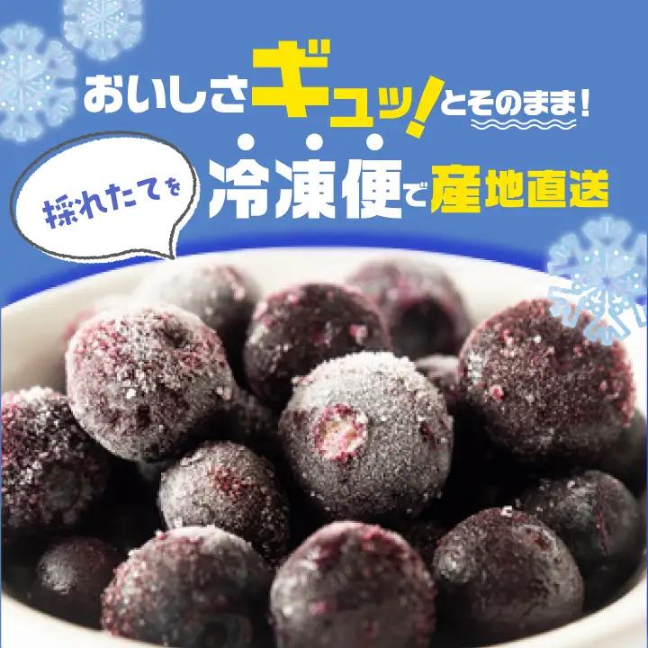 《2026年7月以降順次発送》ブルーベリー冷凍果実1kg（品種おまかせ） ブルーベリー フルーツ【東和ブルーベリー研究農園】