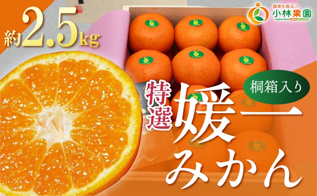 
                  【先行受付】桐箱入り・媛一みかん(2.5kg)【D24-4】 YWTAD002
                